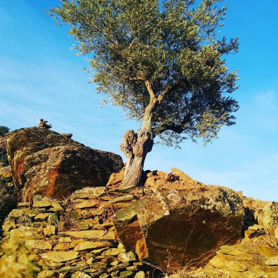 Casas De Xisto Villa Mogadouro  Dış mekan fotoğraf