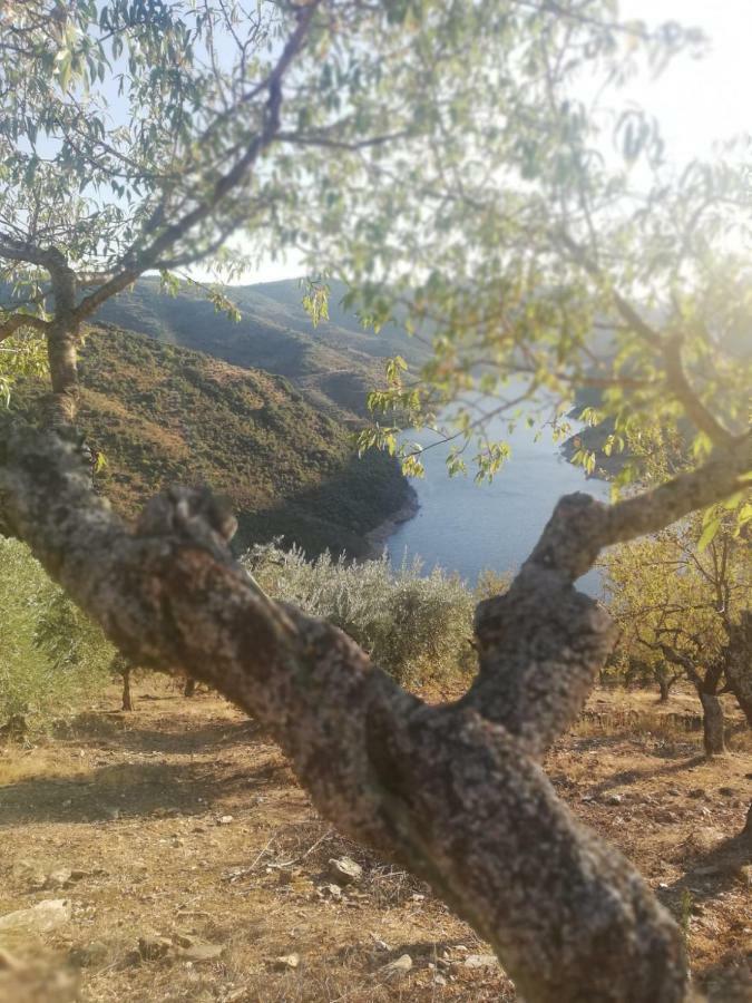 Casas De Xisto Villa Mogadouro  Dış mekan fotoğraf